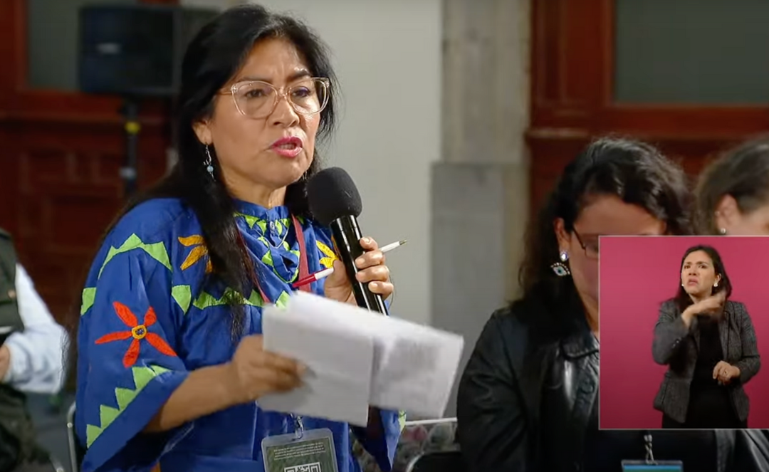 ONGs de libertad de expresión reprueban bloqueo informativo y agresiones contra Reyna Haydée Ramírez