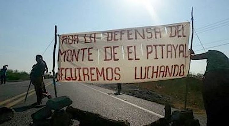 Alta tensión en Puente Madera por amenazas del Estado y grupos criminales: Red TDT