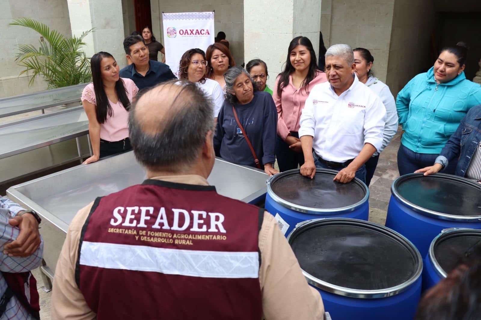 Secretario en Oaxaca presume con sombrero ajeno con quesilleros que buscan Récord Guinness