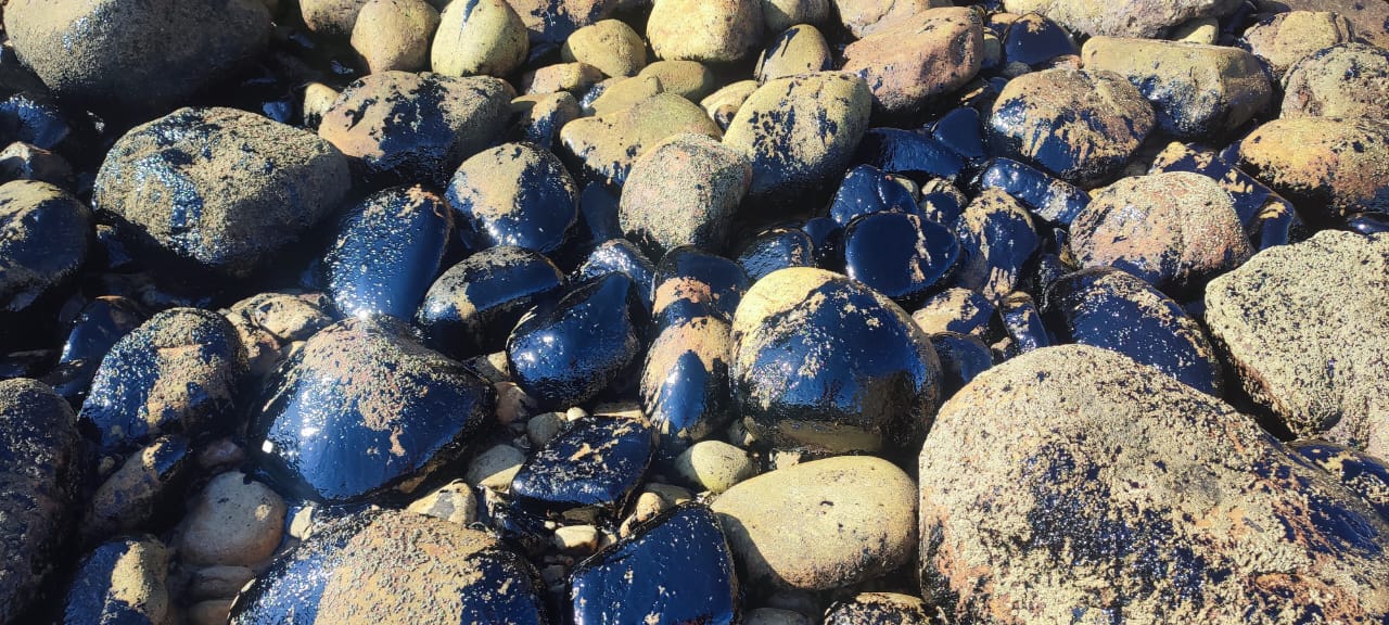 Por enésima ocasión Pemex contamina con aguas negras playa “La Ventosa” en Salina Cruz