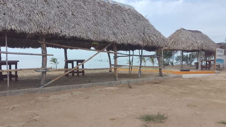 Deportaciones de Trump acabarán con nuestros sueños: madres Ikoots de San Dionisio del Mar
