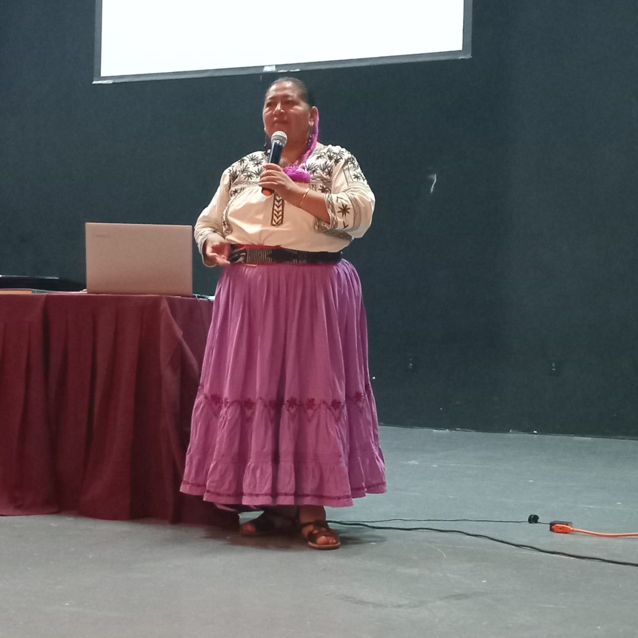 Mujeres en la música tradicional: desafíos y conquistas