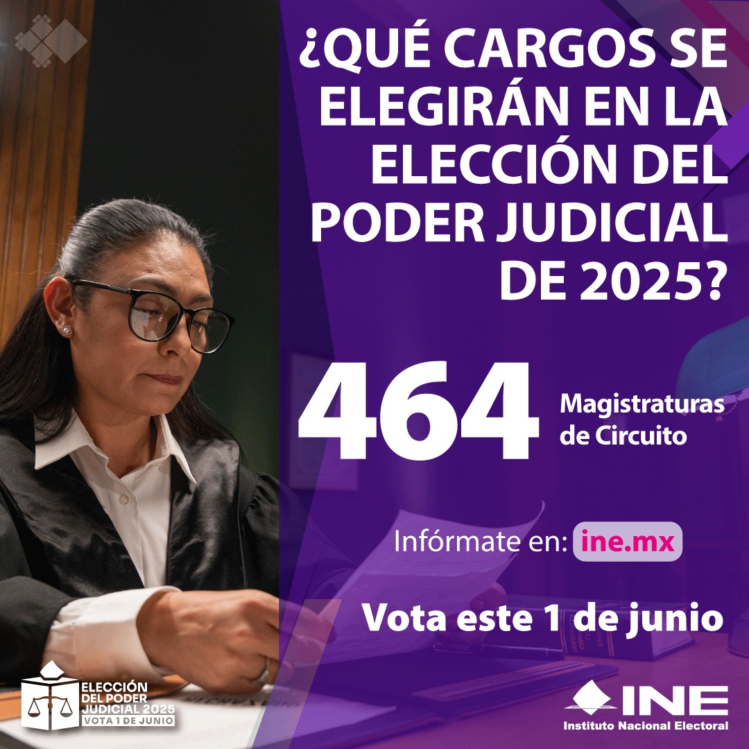 Congreso urge a INE máxima publicidad de elección judicial y candidaturas oaxaqueñas