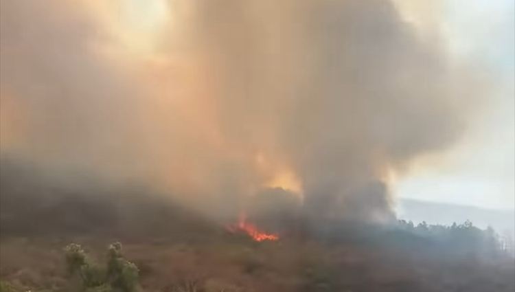 Preliminar: Más de 500 hectáreas afectadas por incendio activo en Valles Centrales de Oaxaca