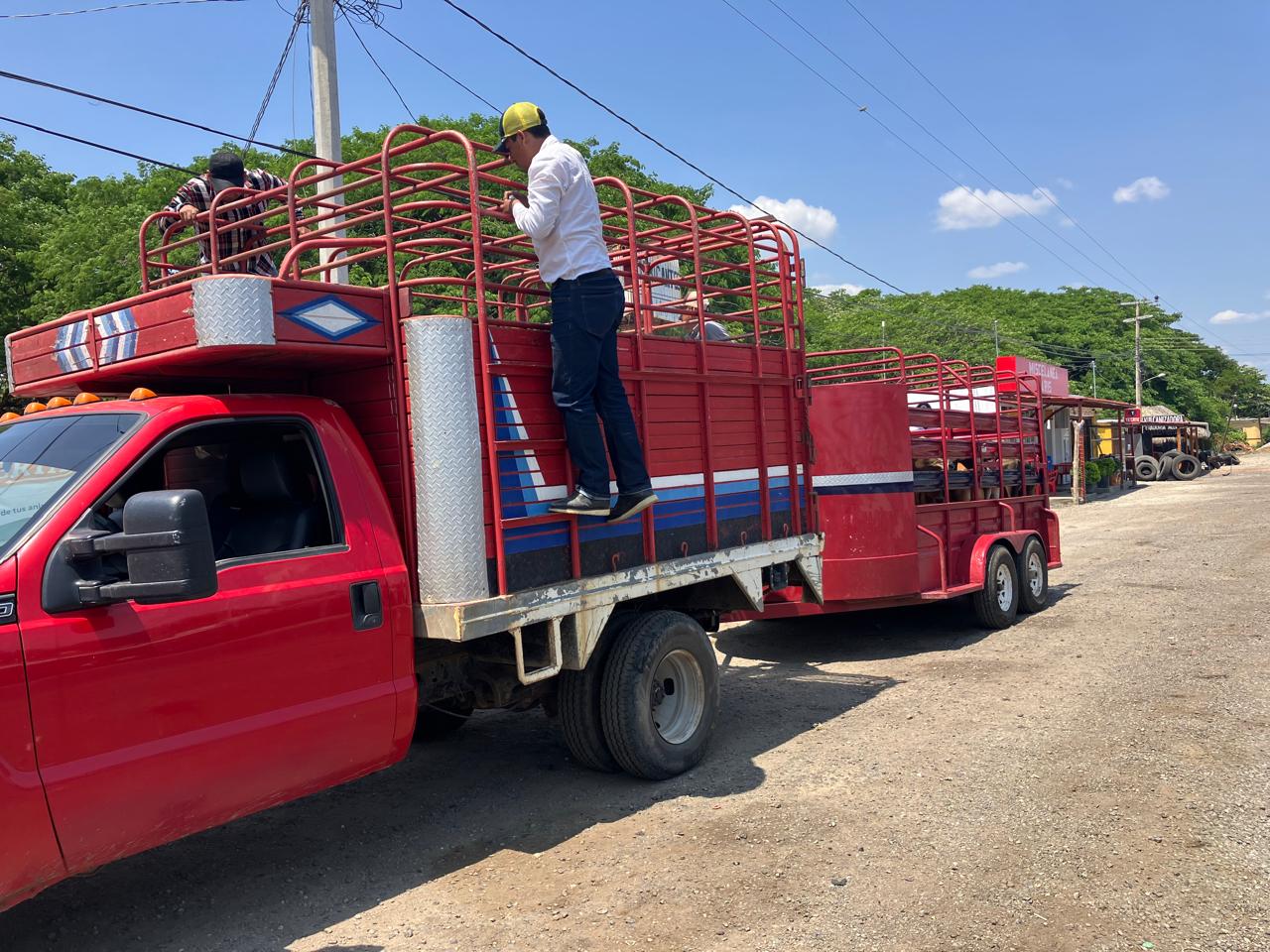 Instalan en Oaxaca módulo de inspección para frenar ingreso de gusano barrenador por frontera sur