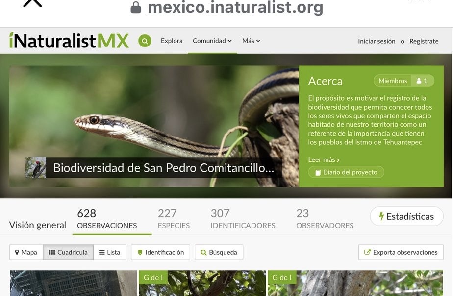 Ambientalista crea proyecto con fotografías para visibilizar la biodiversidad amenazada por megaproyectos en Comitancillo, Oaxaca