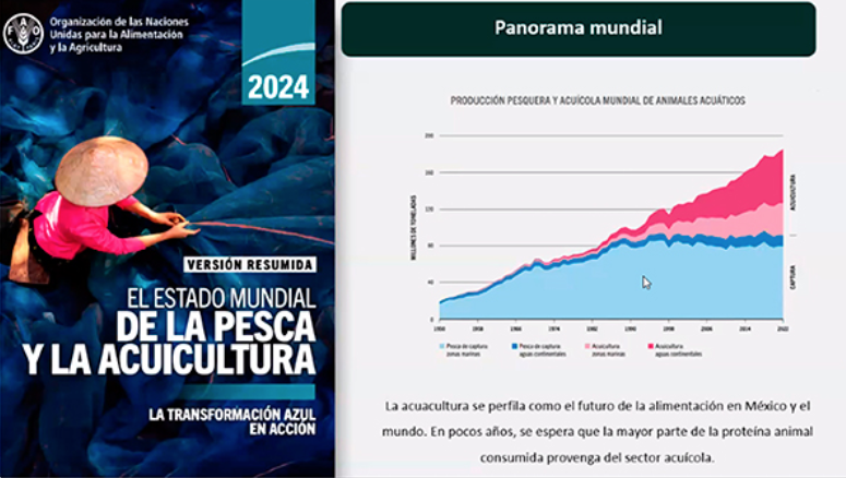Alimentos marinos, alternativa para reducir el impacto ambiental: especialistas