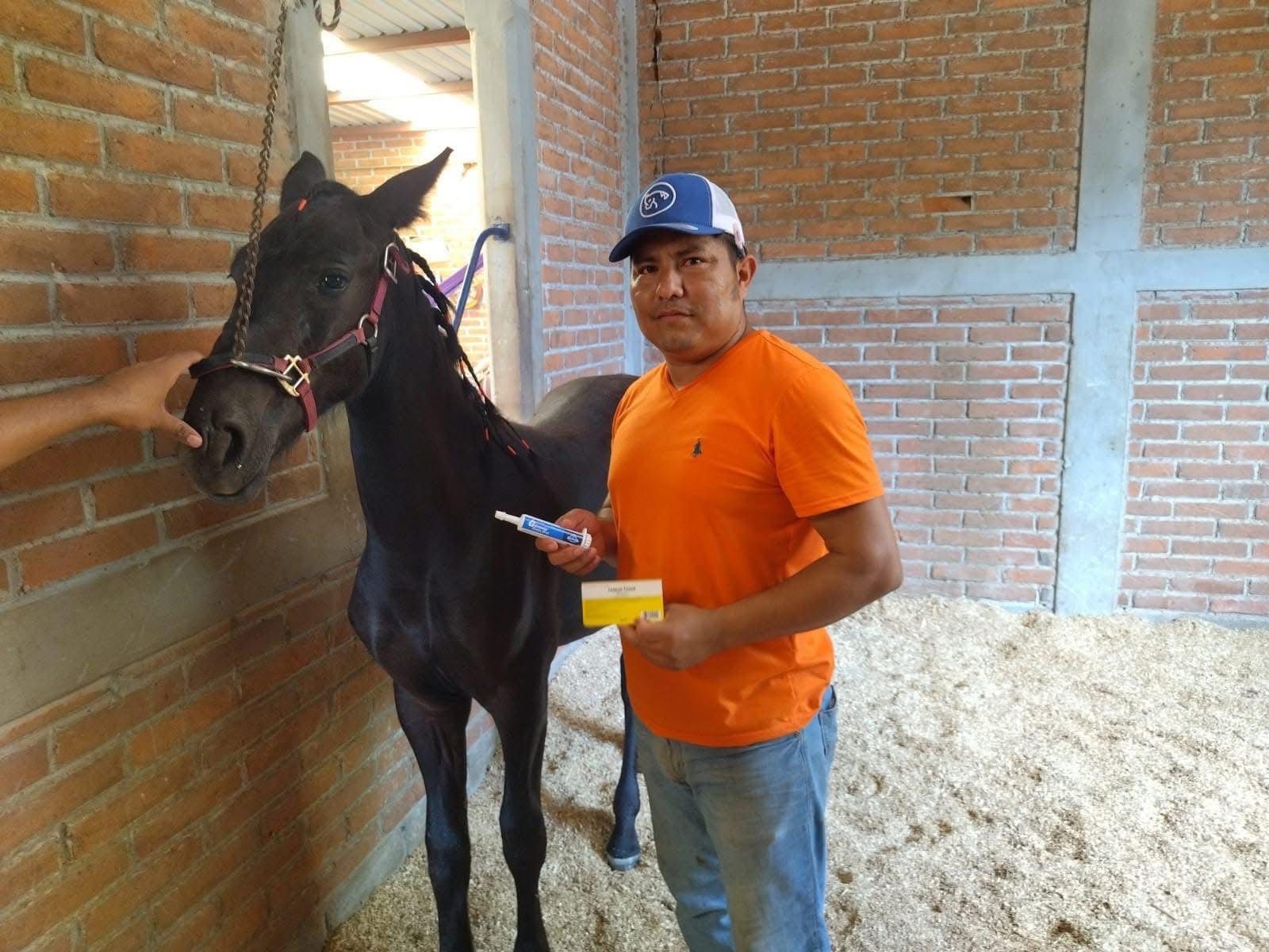 Desaparece Médico Veterinario, Mariano Reyes en Juchitán, Oaxaca