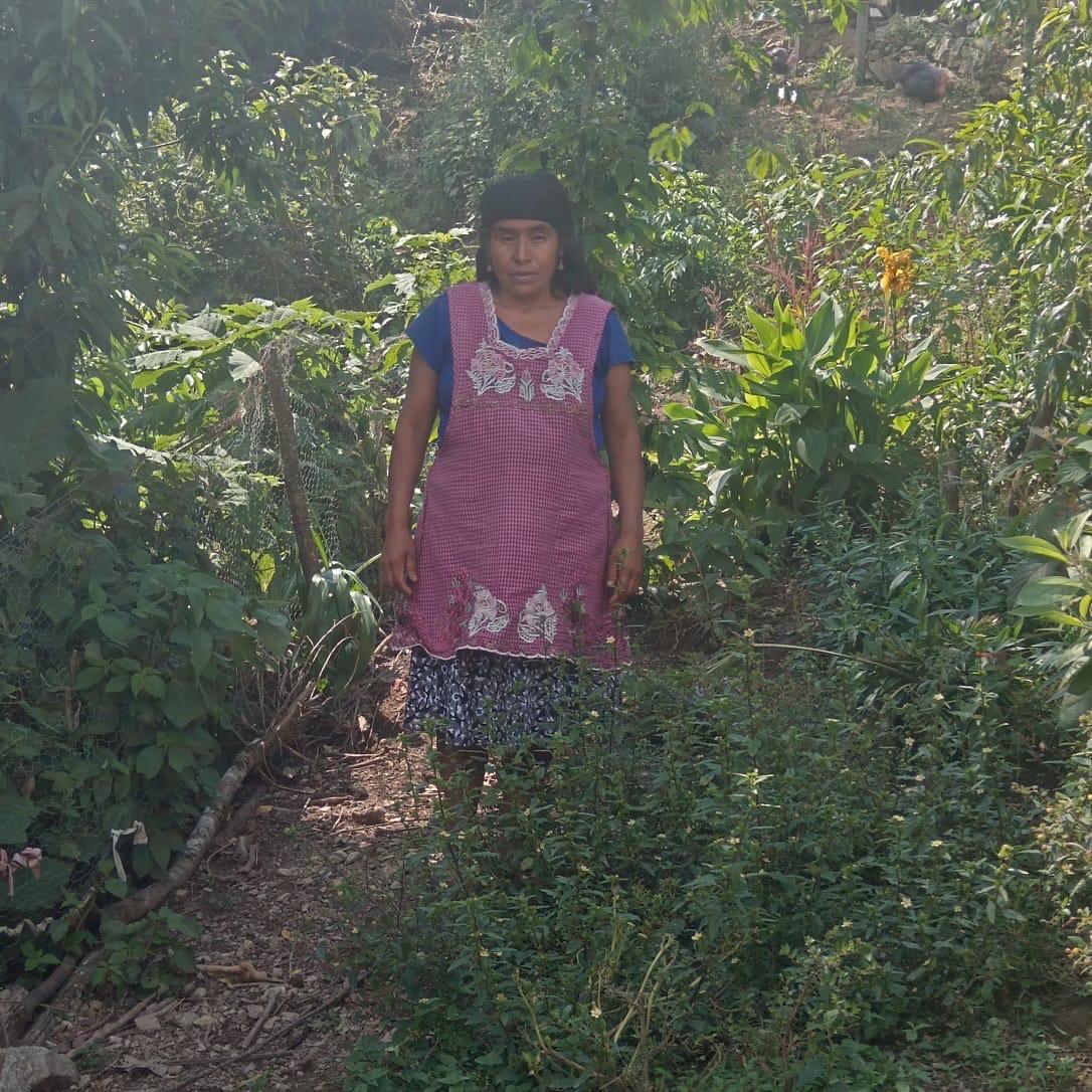 Por no tener hijos, quitan bienes y destierran a Reynalda, mujer Ayuuk