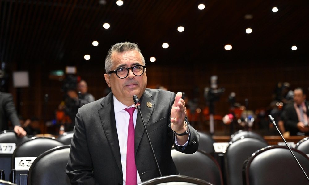 Permanente exhorta a SSPC, Coordinación Nacional de Protección Civil y al Gobierno de Oaxaca, emitir declaratorias de desastre para afectados por “Erick”