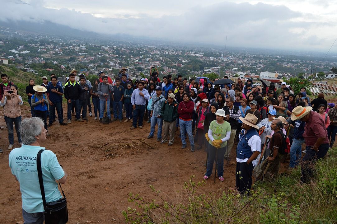 Cambio de uso de suelo en El Crestón pone en riesgo cordillera de 60 mil hectáreas