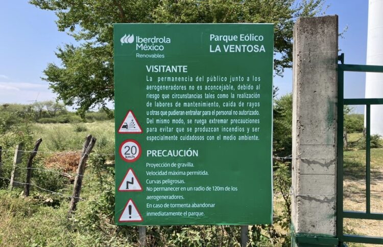 Ni AMLO ni a Claudia les interesó la generación de energía eólica: arrendatarios