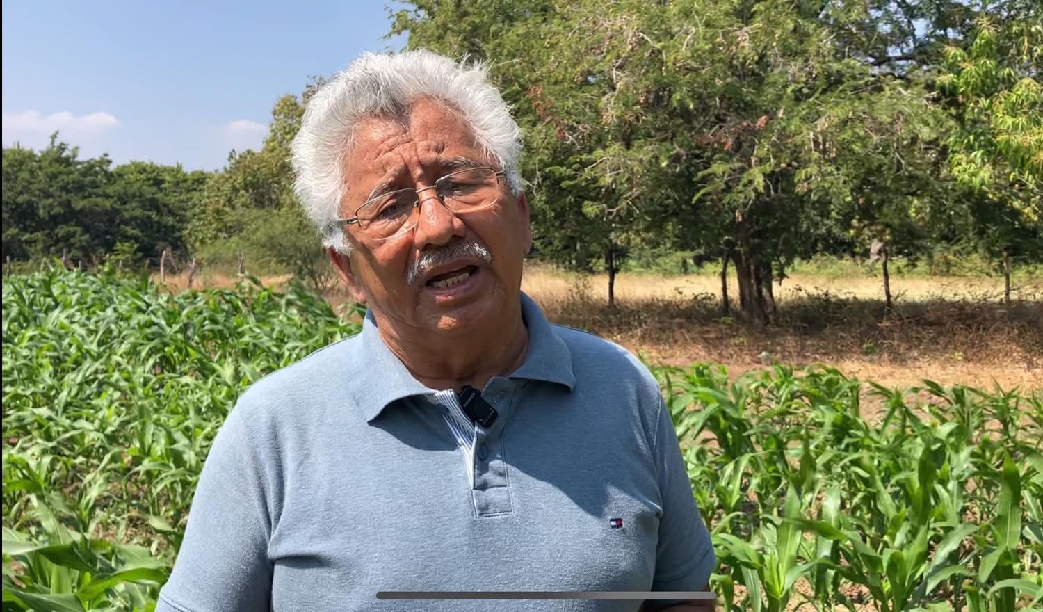 Tona Taati’, más de 30 años en la defensa del maíz zapalote chico