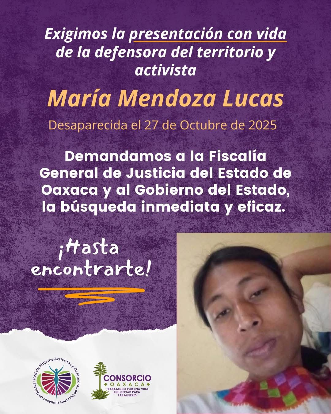 Alertan activistas y ONGs por desaparición de María Mendoza, defensora mixe