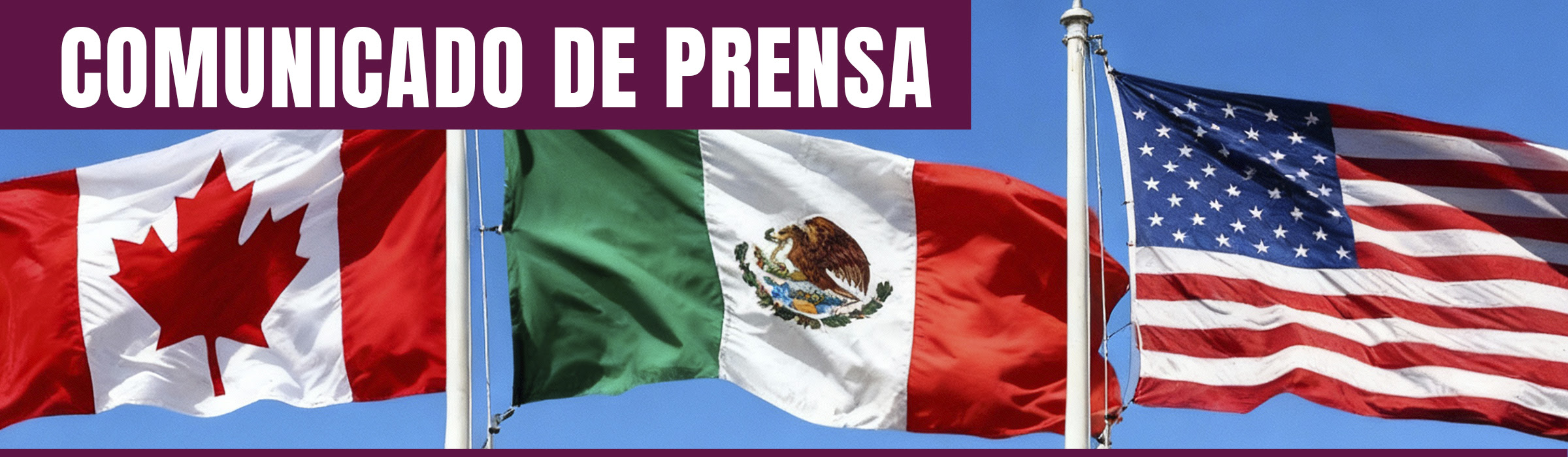 ProDESC y la Coalición contra el Trabajo Forzoso llaman a México a reforzar los mecanismos laborales y garantizar un comercio justo y libre de explotación
