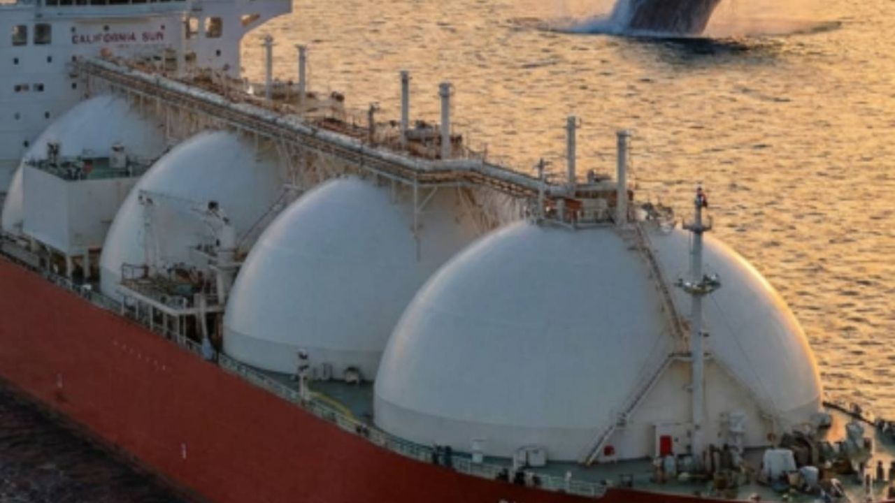 Ante falta de respuesta sobre irregularidades se presentan amparos para exigir protección al Golfo de California frente a megaproyectos de gas fósil