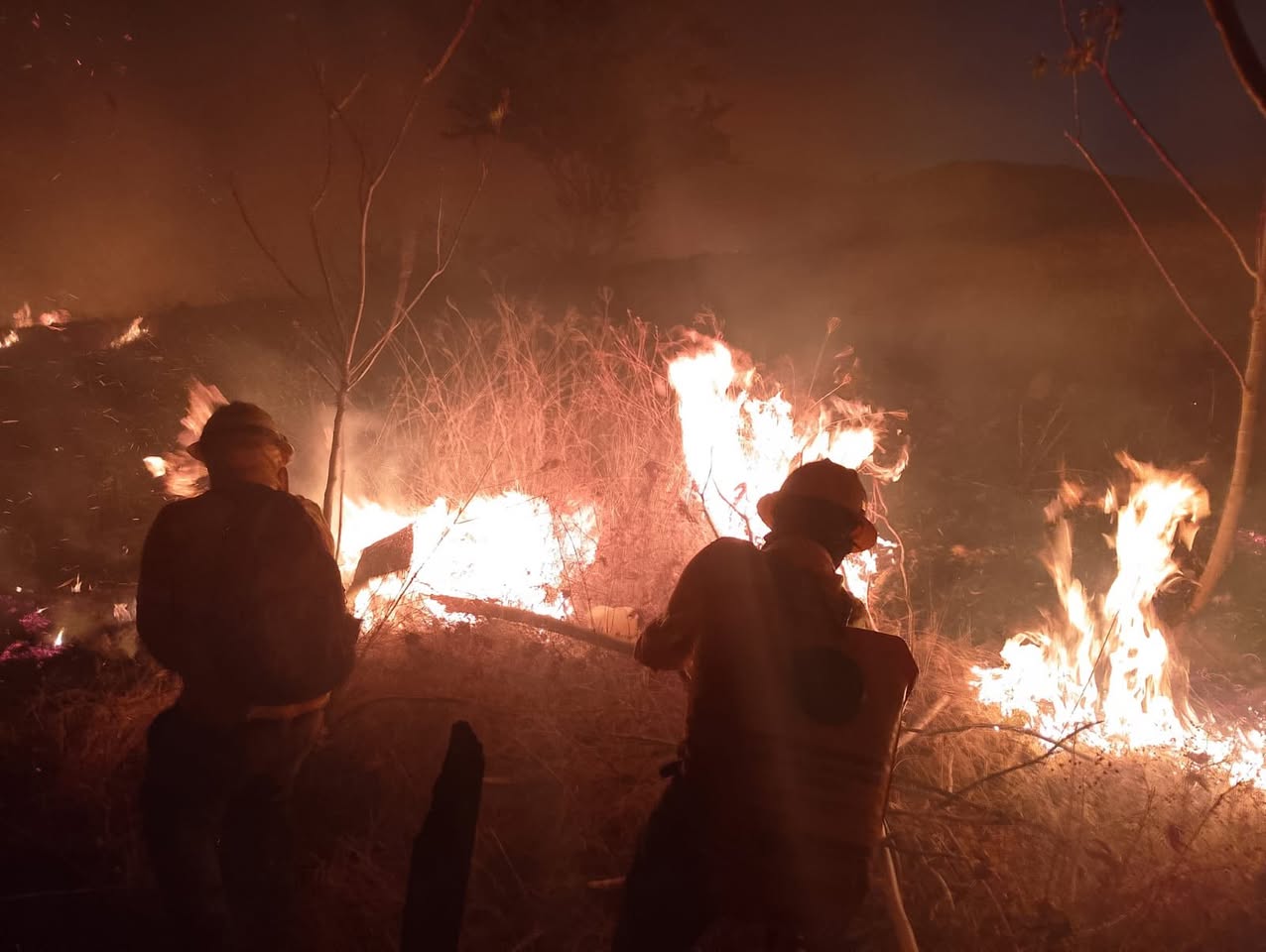 Atienden incendio de pastizales en el cerro de Santa Anita, en Xoxocotlán