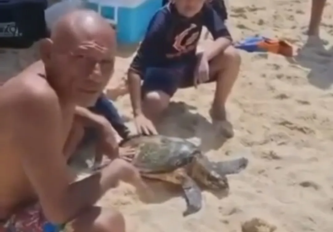 «El Pelón» saca tortuga del mar para entretener turistas en Huatulco; arriesga hasta 9 años de prisión