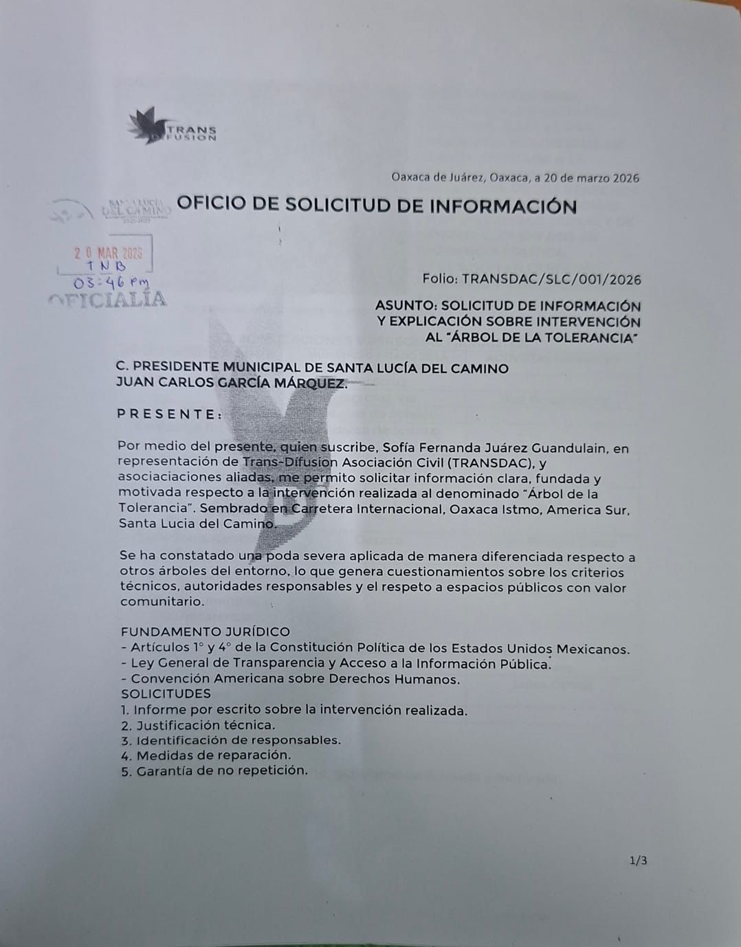 Podan árbol de la tolerancia en Oaxaca denuncia colectiva: “Es una muestra de mutilación de la diversidad sexual”