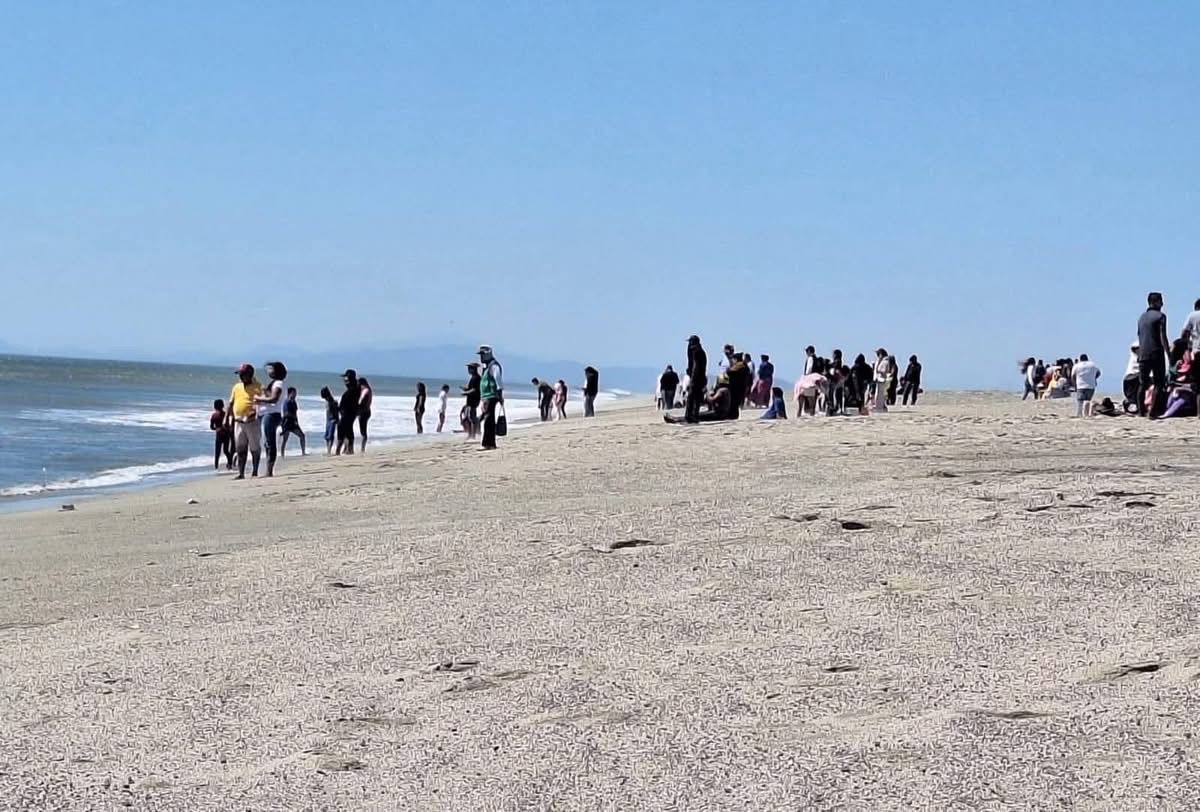 Siete turistas murieron en Oaxaca durante vacaciones de Semana Santa; se reducen accidentes viales 37% y lesionados 51%