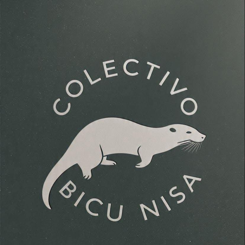 Colectivo “Bicu Nisa” alerta de la presunta muerte clandestina de dos nutrias en Oaxaca para vender su piel