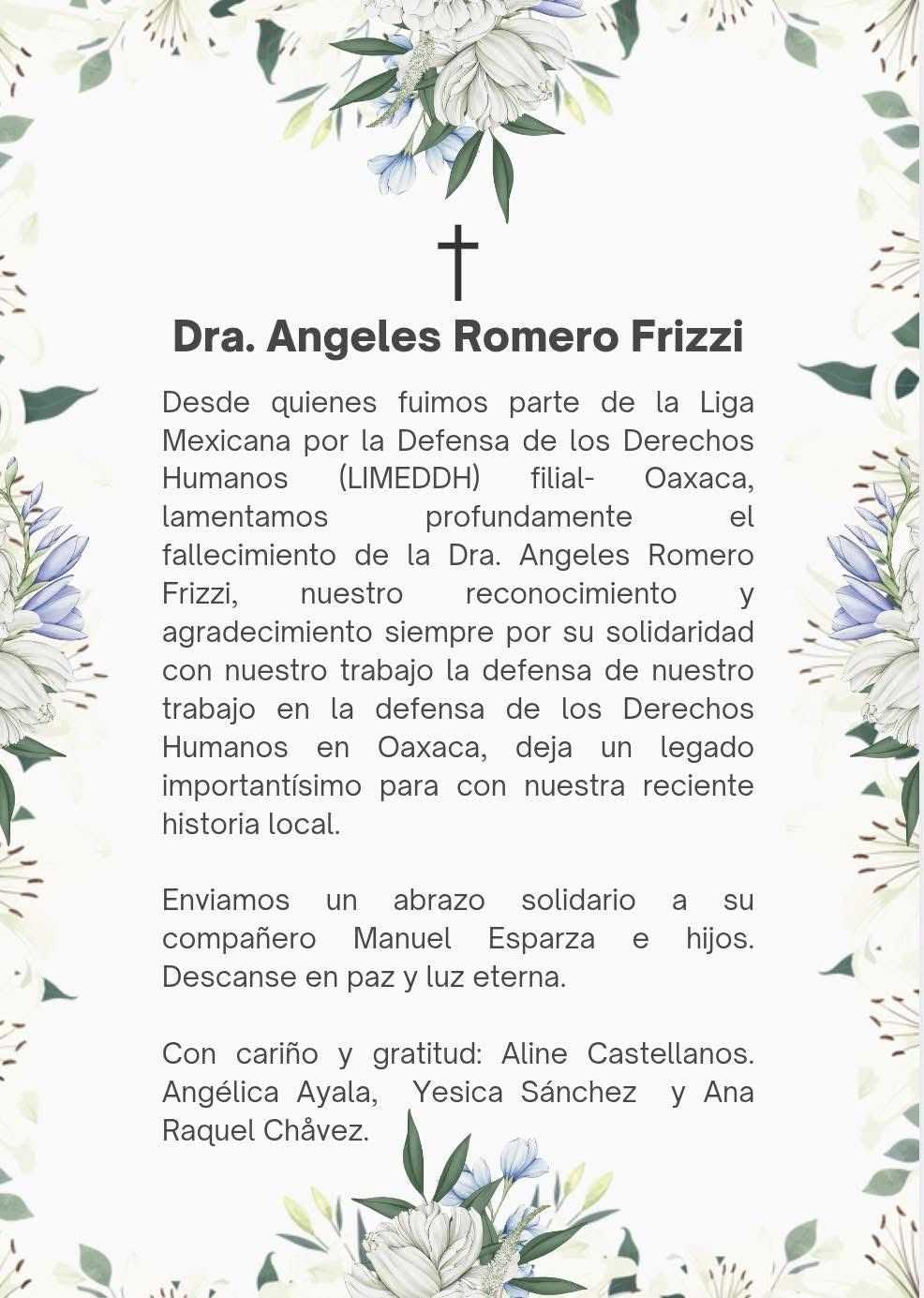 Dra. María de los Ángeles Romero Frizzi