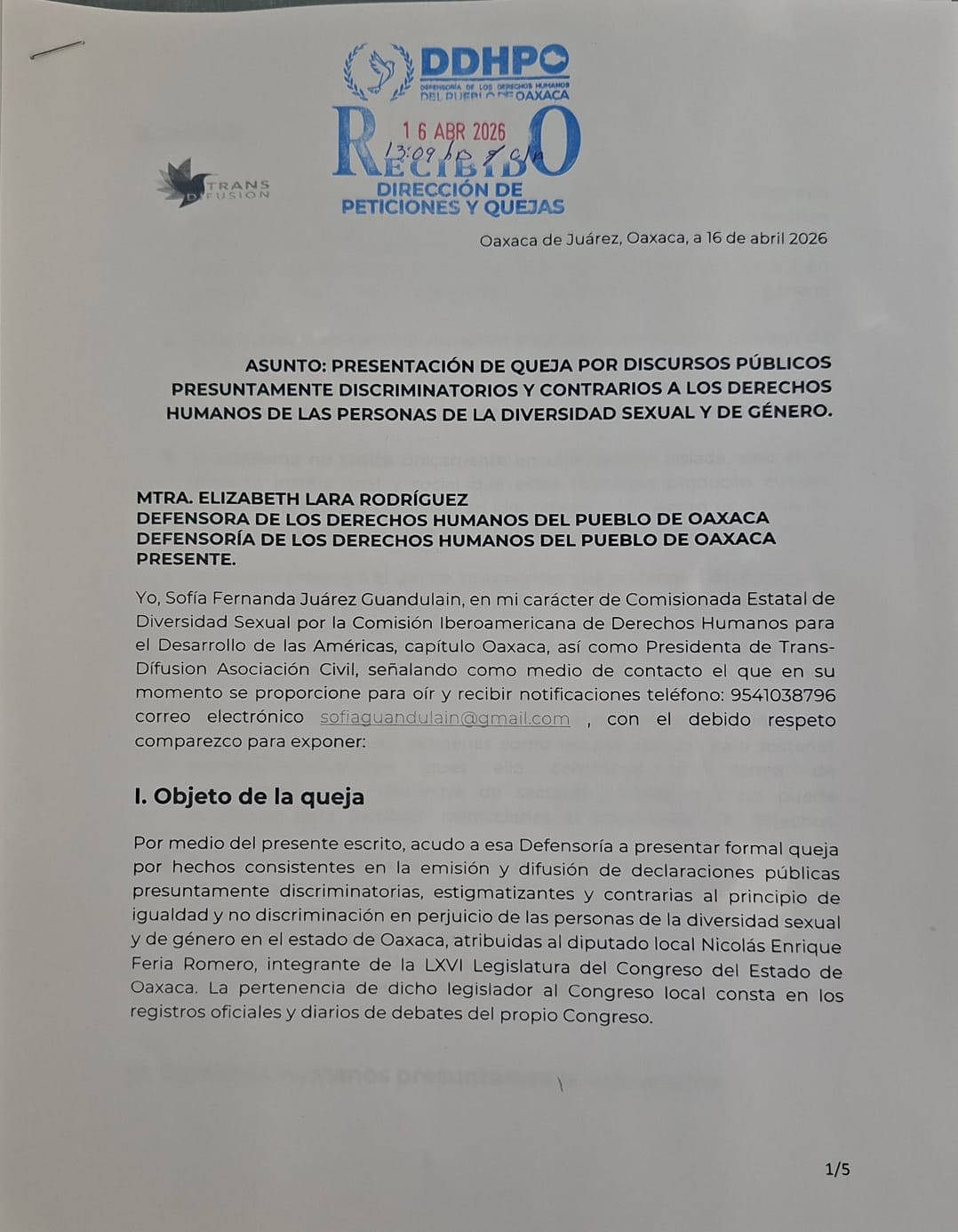 QUEJA EN DDHPO CONTRA DIPUTADO POR BUSCAR PROHIBIR EL «ELLE» Y «TODES»