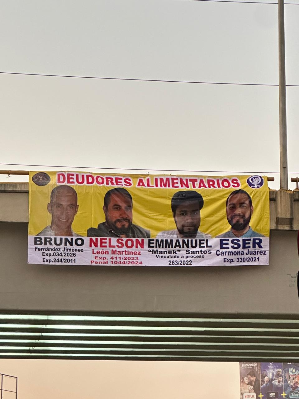 Lona Deudor 6