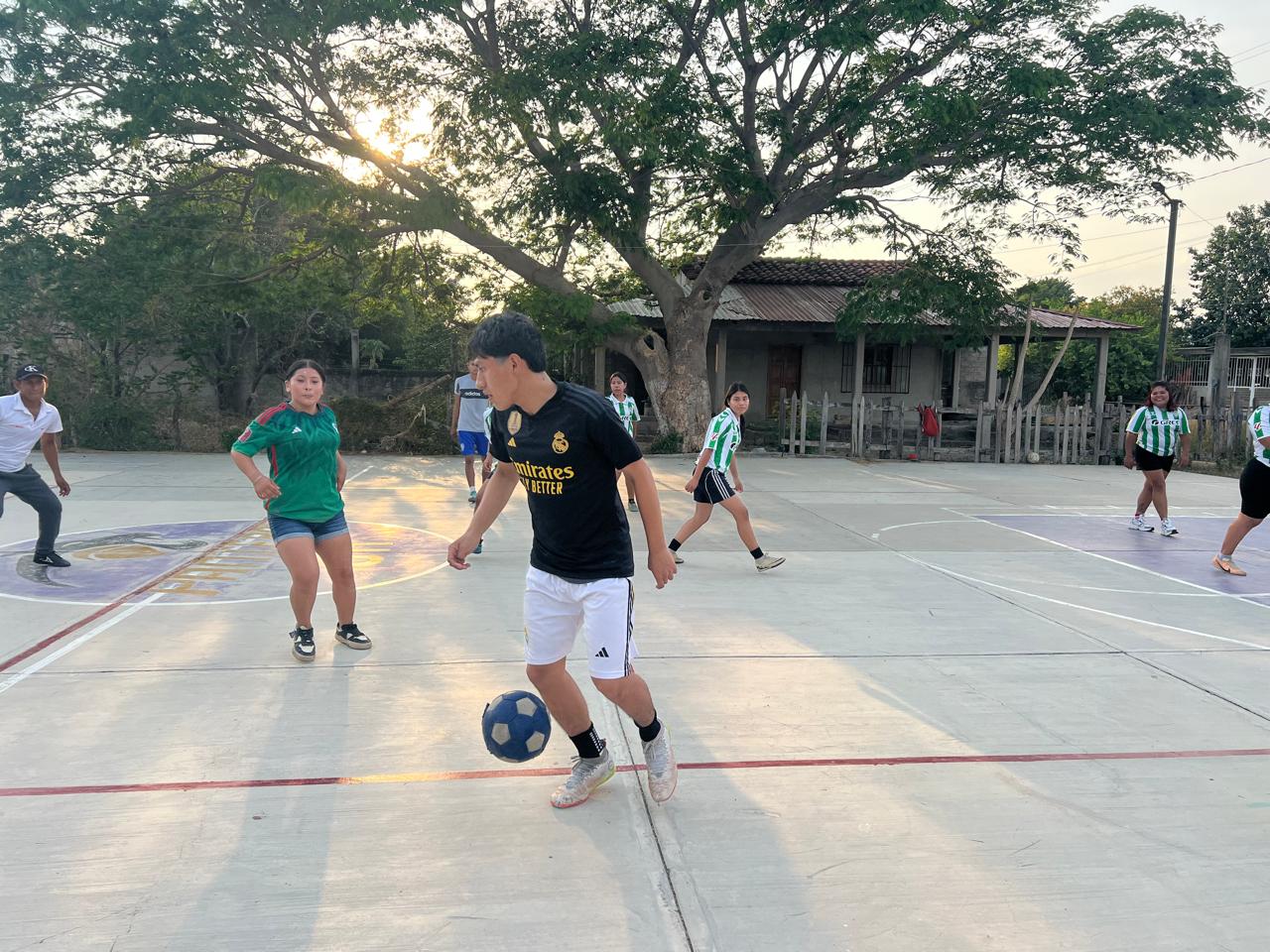 Entrenamiento Palmeras