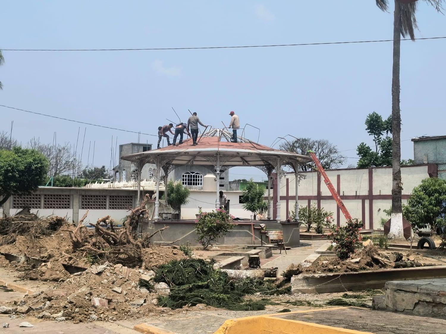 Denuncian ecocidio en Santo Domingo Petapa: tala de árboles por obra deportiva desata protesta ciudadana