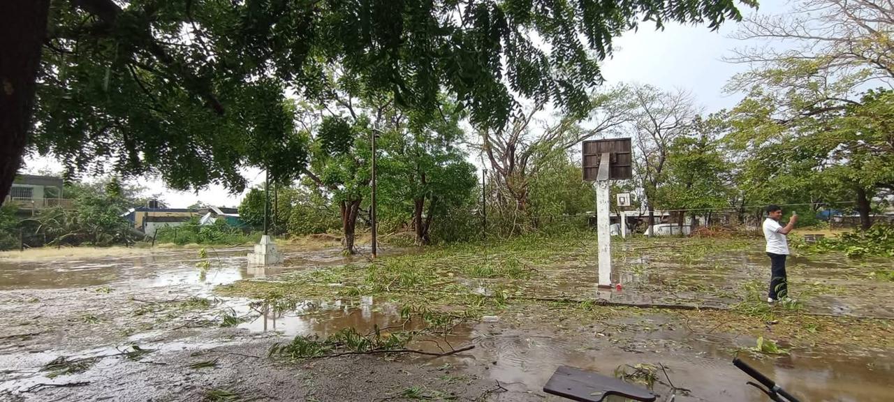 Árboles y postes caídos tras tormenta en San Francisco Ixhuatán