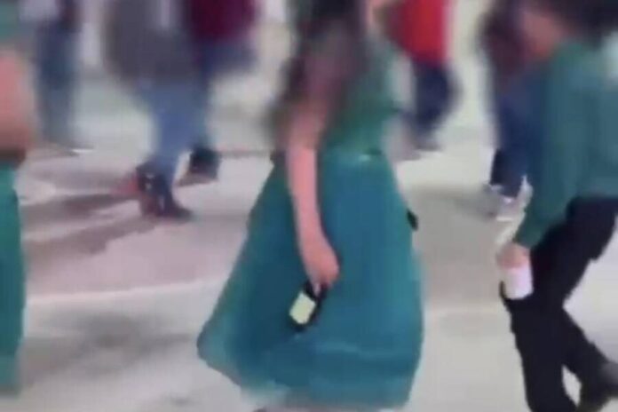 Inducción al alcoholismo en primaria de la Sierra Sur desata carpetas penal y administrativa: IEEPO y Prodennao indagan