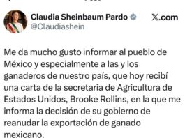 Sheinbaum anuncia reapertura de exportación de ganado a EU; reiniciará en agosto por Sonora