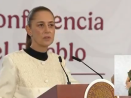Sheinbaum presume detención de autor intelectual del asesinato del alcalde Carlos Manzo; Harfuch lo vincula con feminicidio de influencer Sheinbaum presume detención de autor intelectual del asesinato del alcalde Carlos Manzo; Harfuch lo vincula con feminicidio de influencer