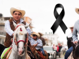 Violencia desbordada en el Istmo: Asesinan a veterinario en Matías Romero y reportan tres homicidios más en 24 horas