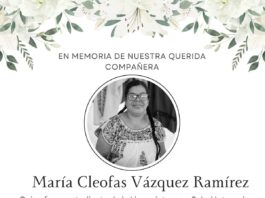 Familia de artesana zapoteca pide investigación tras choque en la carretera a Ocotlán