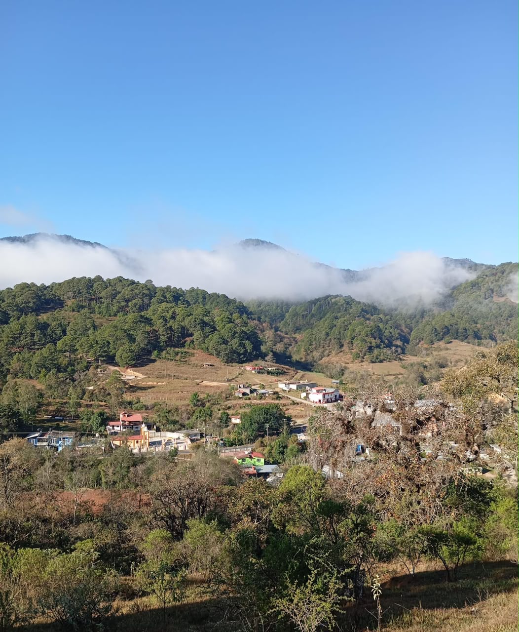 La comunidad de Agua Fría vista desde lo alto, con niebla sobre el bosque