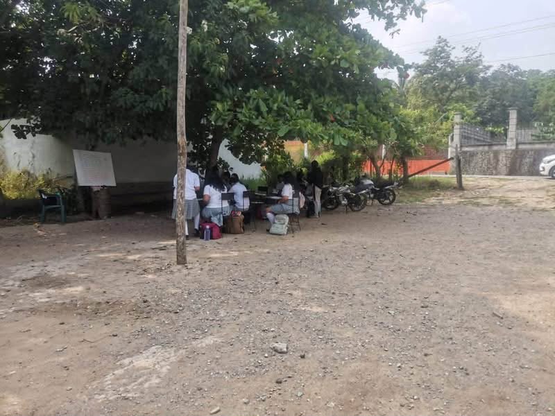 Estudiantes de la telesecundaria Buenavista toman clase al aire libre, de espaldas, bajo un árbol