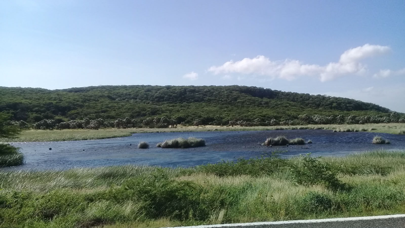 Ciénega junto al cerro La Llovizna, con el cerro cubierto de vegetación al fondo